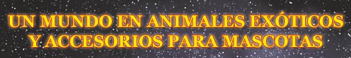 UN MUNDO EN ANIMALES EXÓTICOS Y ACCESORIOS PARA MASCOTAS